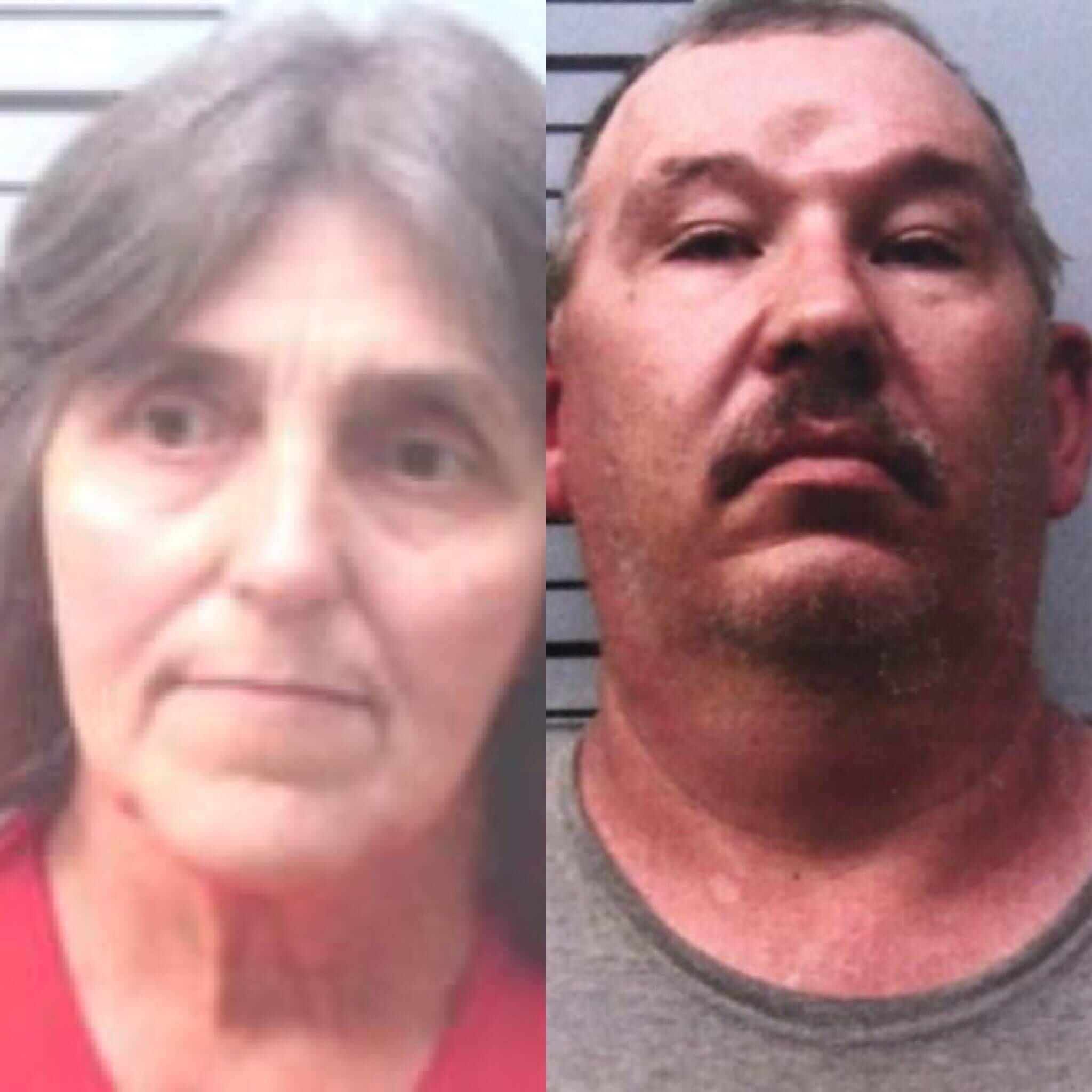 Side Effects ofCBDGummies: What You Need to Know in2025