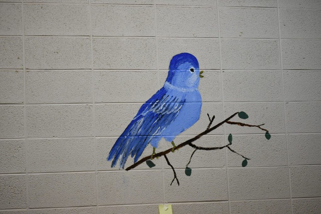 Falkner Elementary’s new art and music program to have something for everyone Tippah News