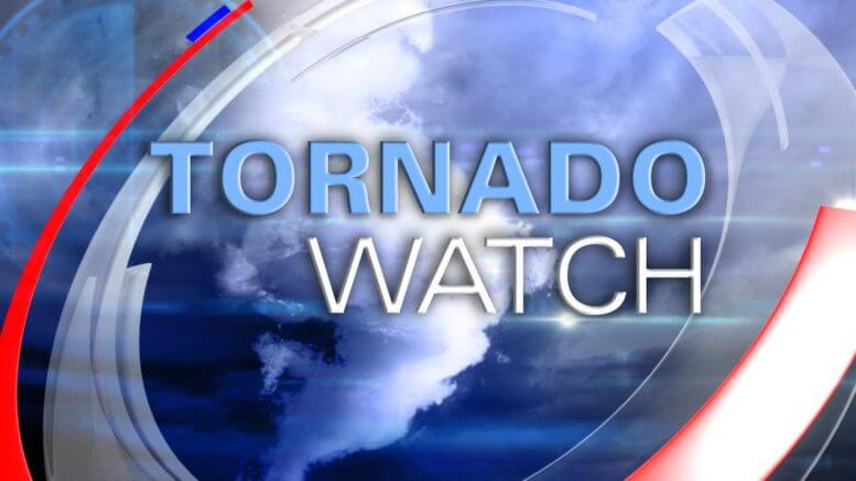 NWS issues tornado watch for Tippah County and surrounding area