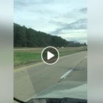 Video of woman speeding the wrong way down interstate before crashing into pharmacy