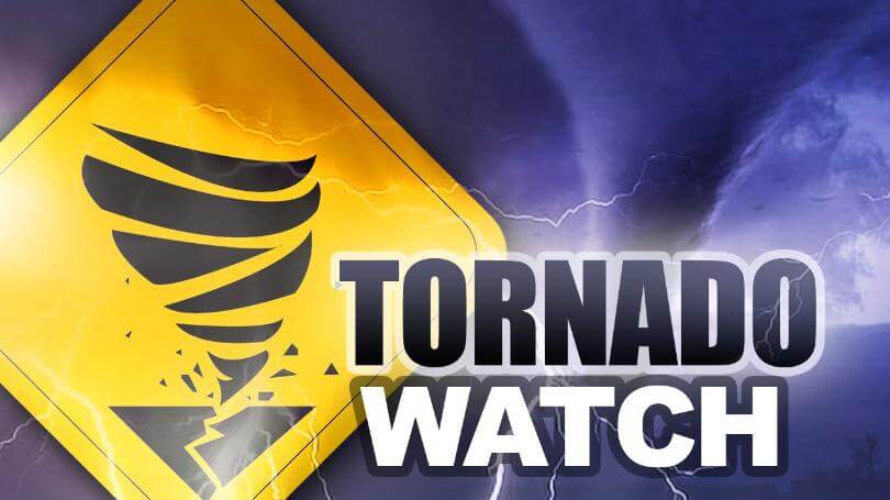 Tornado Watch issued for Tippah County until early Sunday