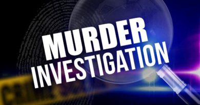 Murder investigation underway after body found in Pine Grove
