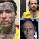 Trio of escaped Mississippi prison inmates captured without incident