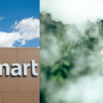 Walmart to stop selling all e-cigarettes and vaping products