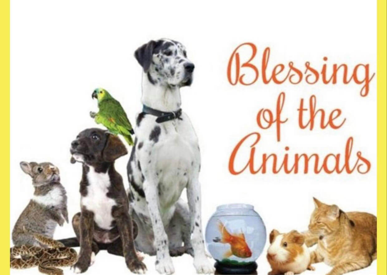 First United Methodist in Ripley to hold Blessing of the Animals Sunday
