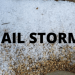 Mississippi sees large hail storm hit East Central MS as storm system threat moves north