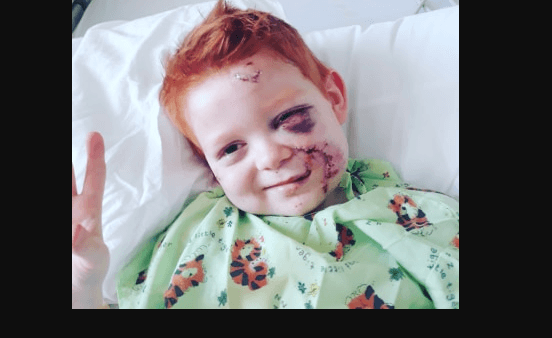 Six year old Walnut boy attacked by Pit Bull, air lifted to Le Bonheur for surgery