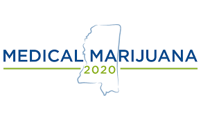 Medical Marijuana Officially on November General Election Ballot