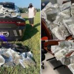 50 pounds of Marijuana seized on I22.