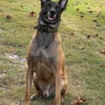 MISSISSIPPI INSURANCE DEPARTMENT: State Fire Marshal's K9 to get donation of body armor￼