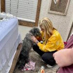 Family dog reunited with owner after home destroyed in Thursday tornado in Ripley