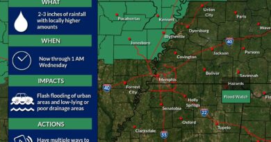 Tropical Depression Beryl is Headed through the Mid-South