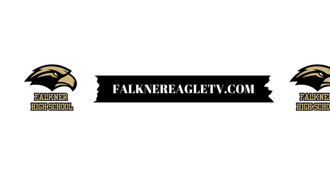 Falknereagletv.com