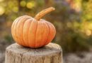 Falkner Heritage Museum to Host Founder’s Day Fall Pumpkin Fest