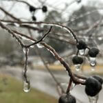 Mississippi braces for dangerous winter storm with ice and power outages Photos from Mississippi Emergency Management Agency's post