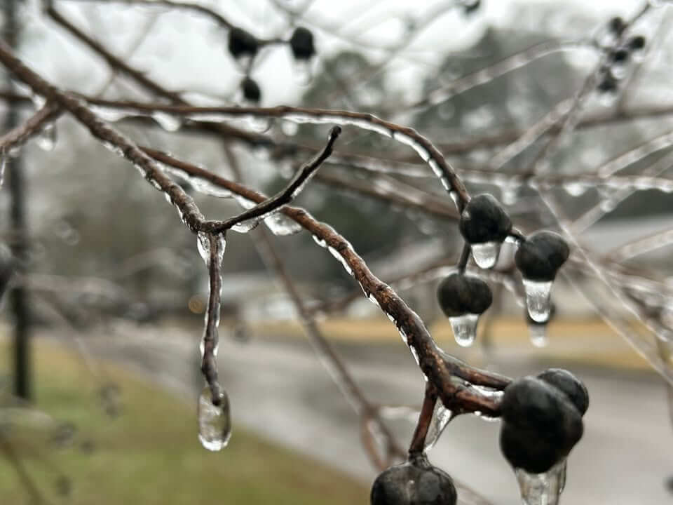 Mississippi braces for dangerous winter storm with ice and power ...