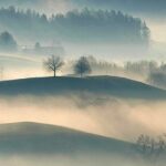 Unseasonably Warm Winter Continues in Tippah County, Mississippi Image for: Unseasonably Warm Winter Continues in Tippah County, Mississippi