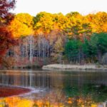 Tippah County's Tippah Lake Offers Holiday Fun and Scenic Views Image for: Tippah County's Tippah Lake Offers Holiday Fun and Scenic Views