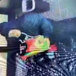 Tippah County Crime Stoppers and Tupelo Police Seek Help in Vehicle Burglary Investigation Image for: Tippah County Crime Stoppers and Tupelo Police Seek Help in Vehicle Burglary Investigation