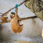 Mississippi EMAs Provide Damage Reports, Shelter Info, and Generator Guidelines Photo by ANIl KUMAR on Pexels