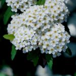 Mississippi governor provides update on winter weather response Photo by 대정 김 on Pexels