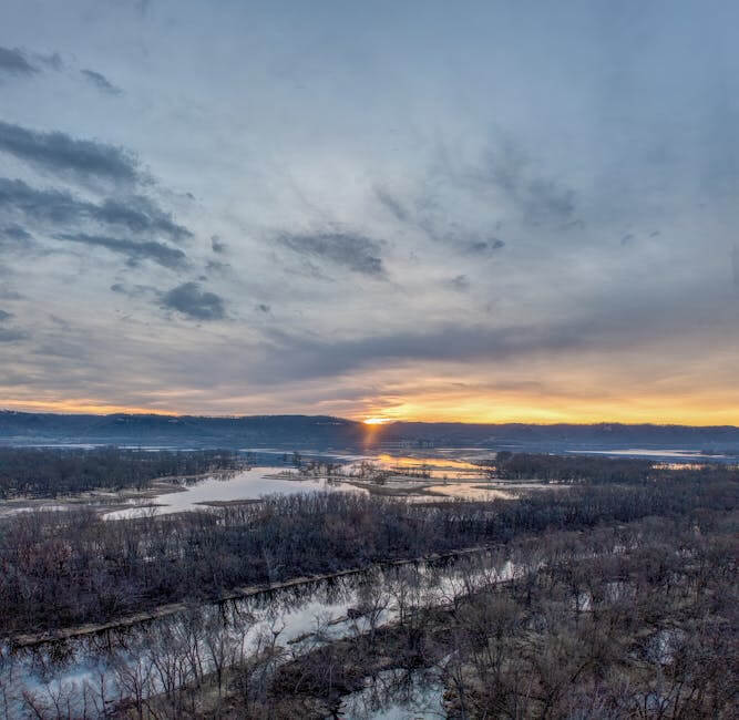Mississippi Emergency Management Agency Provides Updates on January ...