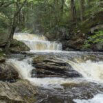 Dalton State beats Blue Mountain Christian in SSAC game Photo by Andrew Wells on Pexels