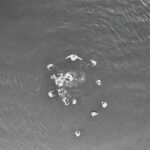 Ripley Water customers under Boil Water Notice until further notice Photo by Tom Fisk on Pexels