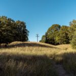 Power outages disrupt online classes for students in the region Photo by fish socks on Pexels