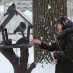 Mississippi Troopers Offer Winter Weather Safety Tips and Prize Giveaway Photo by Eleonora Sky on Pexels