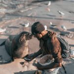 Ripley Reports Progress on Utility Services Amid Restoration Efforts Photo by Luke Barky on Pexels