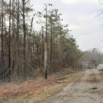 Tippah Electric Power Association crews praised for storm recovery efforts Photos from Tippah Electric Power Association's post