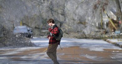 Mississippi lawmakers weigh cleanup options as 34 counties seek federal aid Mississippi lawmakers weigh options for winter storm cleanup