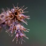 Anthropic CEO Calls Pentagon Supply-Chain Designation 'Retaliatory and Punitive' Photo by mali maeder on Pexels