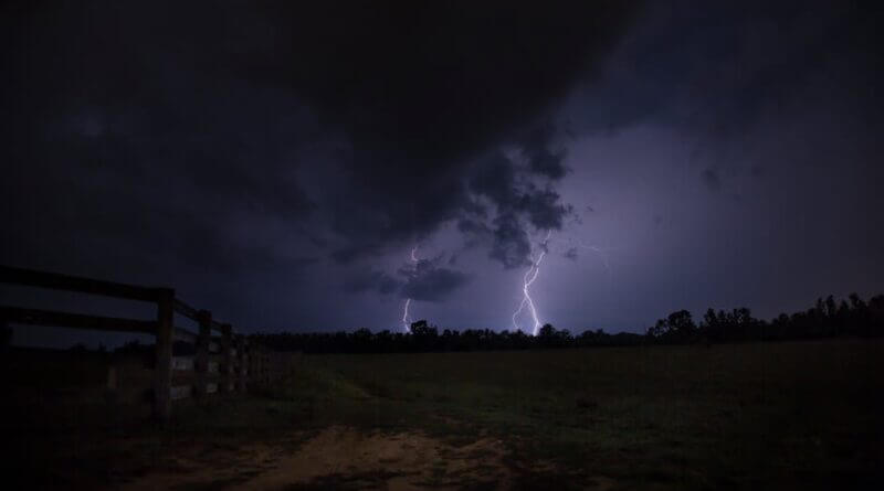 Photo by Sebastian Voortman on Pexels