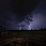 Analysts Say Tuesday Could Be Final Dress Rehearsal for Mississippi State Photo by Sebastian Voortman on Pexels