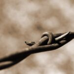 Blue Mountain Christian falls to Life University in close game Photo by Robert Schrader on Pexels