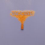 Mississippi Senate panel advances bill for Ibogaine clinical trials Photo by Thirdman on Pexels