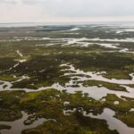 Mississippi Secretary of State Michael Watson urges campaign finance reform Photo by Kelly on Pexels