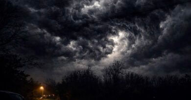 House damage, power outages to over 4000 homes as tornado warned storms hit Tippah County House damage, power outages to over 4000 homes as tornado warned storms hit Tippah County