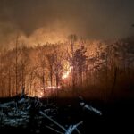 Tippah County Fire Burns More Than 700 Acres as Officials Warn of Elevated Fire Risk tippah county wildfire