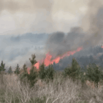 Wildfire burns 3,000 acres in Carroll County; 40 percent contained, Reeves says Crews battle 3,000-acre wildfire in Carroll County