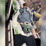 Mother of three dies after dog attack in Holly Springs Woman dies after brutal dog attack in Mississippi