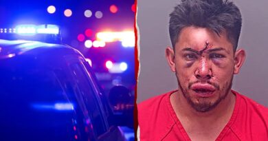 Alabama teen knocks out man accused of trying to strangle mother, sheriff says Alabama teen comes to mother's aid, knocks out stepfather during alleged strangulation attempt