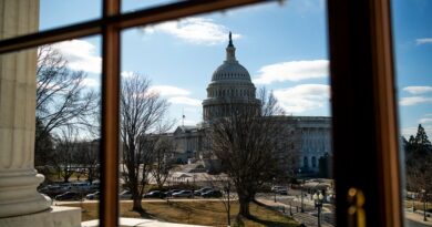 Former Rep. Melissa Bean projected to win Illinois Democratic primary Former House Democrat wins party nod in Illinois primary