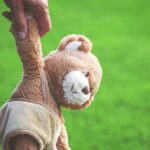 Ex-wrestler Teddy DiBiase Jr. found not guilty in Mississippi welfare scandal Photo by Susanne Jutzeler, suju-foto on Pexels