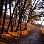 Former car wash becomes business incubator, gathering space in Ripley Photo by sysedit2 on Pexels