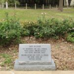 U.S. Commission clears way for Trump commemorative gold coin Photo by Camilla Draymarch on Pexels