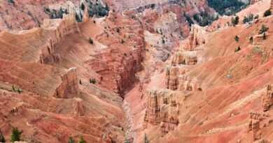 Mississippi State Coach O’Connor Discusses SEC Start on SportsTalk Mississippi Photo by Jeffrey Eisen on Pexels