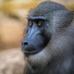 Longtime Fifth Circuit Judge E. Grady Jolly Dies at 88 Photo by Jesús Esteban San José on Pexels